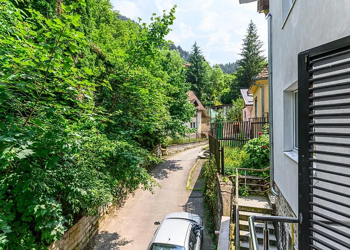 Serene Garden With Parking
